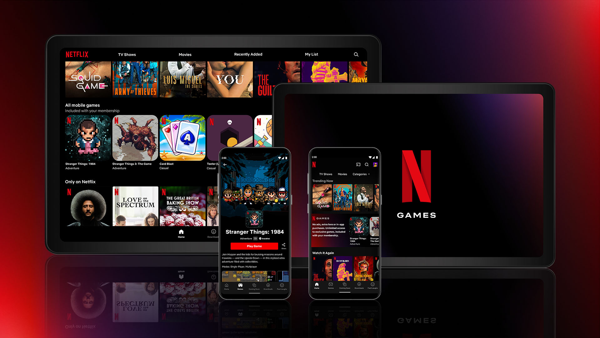 Netflix Screens Pakistan