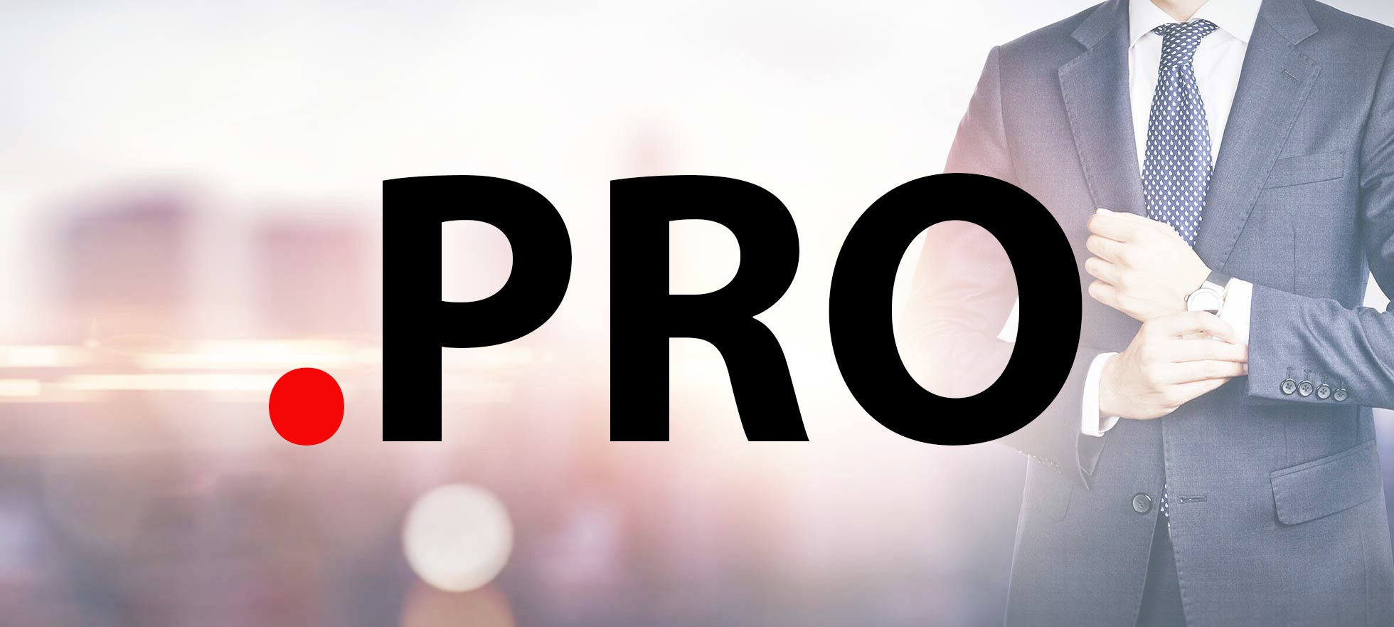 PRO Domain Promotion